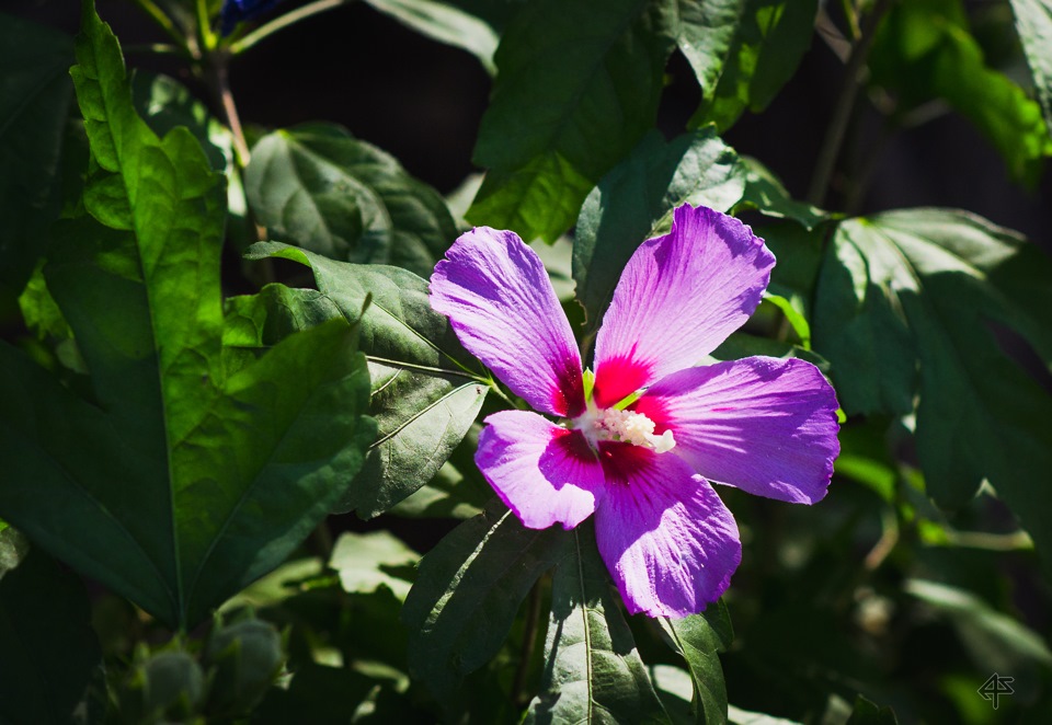 Прогулка по детскому городку — DRIVE2