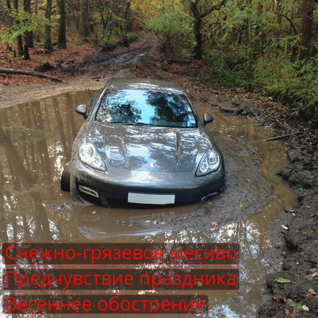 Смешные фразы про дорогу. Мемы я знаю короткую дорогу. Демотиватор дураки и дороги. Жизнь в картинках. Я знаю короткую дорогу прикол.