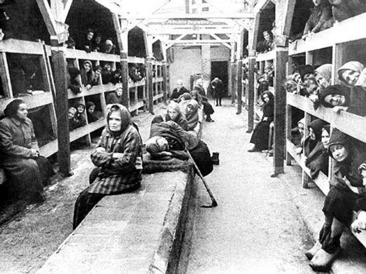 the history of building of concentration camps during world war ii the history of building of concentration camps during world war ii