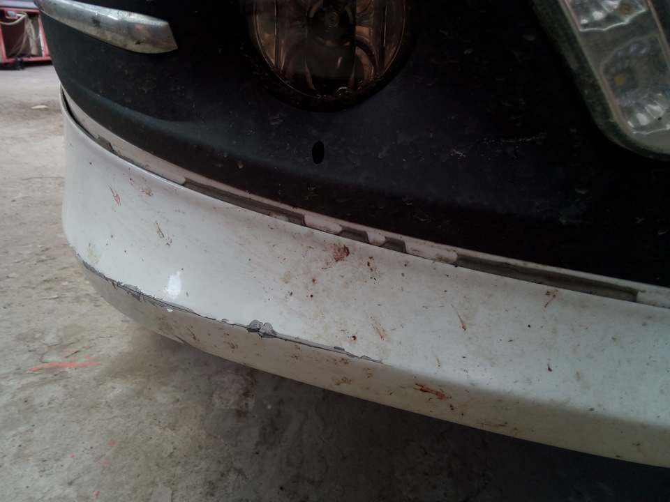 Поймал зайца! — Lada Ларгус, 1,6 л, 2013 года | аксессуары | DRIVE2