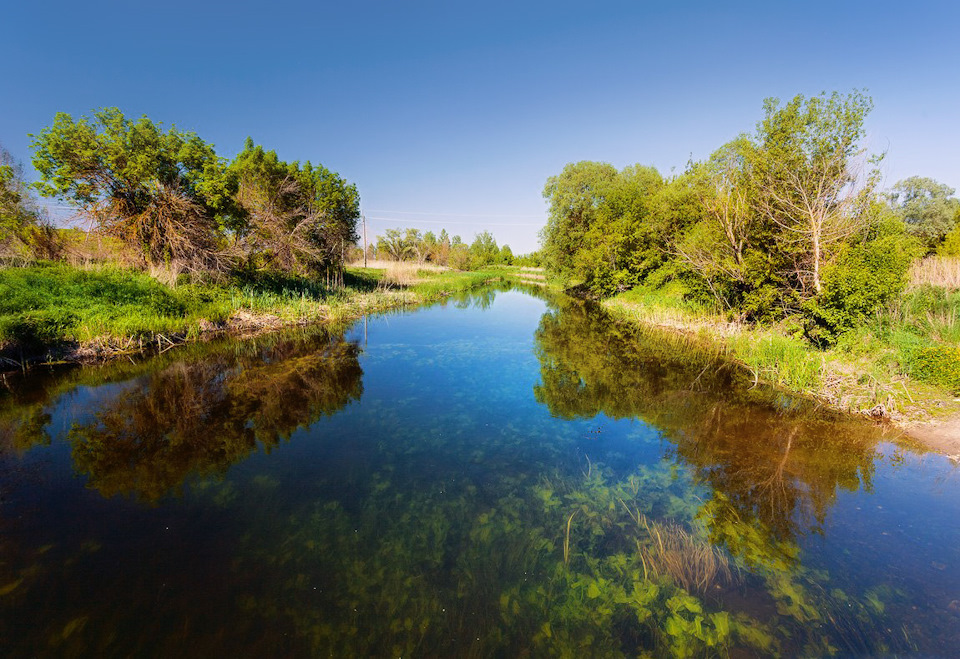 какая рыба водится в тихой сосне. Смотреть фото какая рыба водится в тихой сосне. Смотреть картинку какая рыба водится в тихой сосне. Картинка про какая рыба водится в тихой сосне. Фото какая рыба водится в тихой сосне