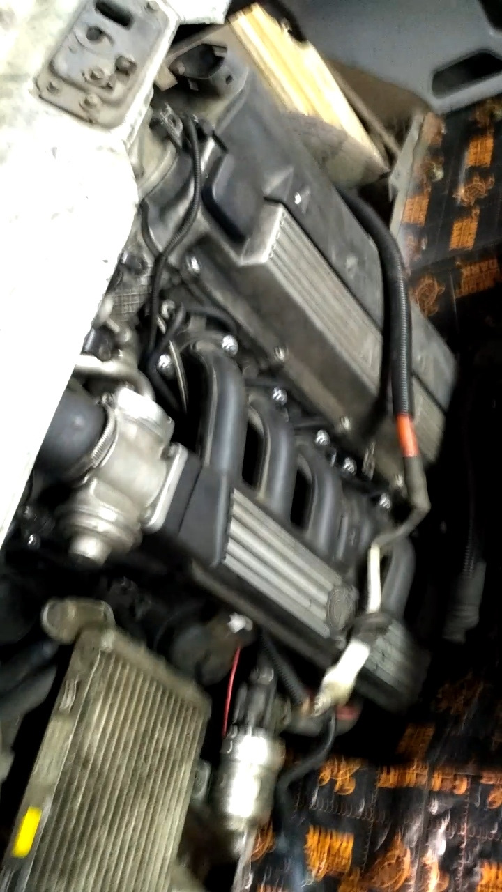 какая газель лучше газ бензин или дизель. Смотреть фото какая газель лучше газ бензин или дизель. Смотреть картинку какая газель лучше газ бензин или дизель. Картинка про какая газель лучше газ бензин или дизель. Фото какая газель лучше газ бензин или дизель какая газель лучше газ бензин или дизель. Смотреть фото какая газель лучше газ бензин или дизель. Смотреть картинку какая газель лучше газ бензин или дизель. Картинка про какая газель лучше газ бензин или дизель. Фото какая газель лучше газ бензин или дизель