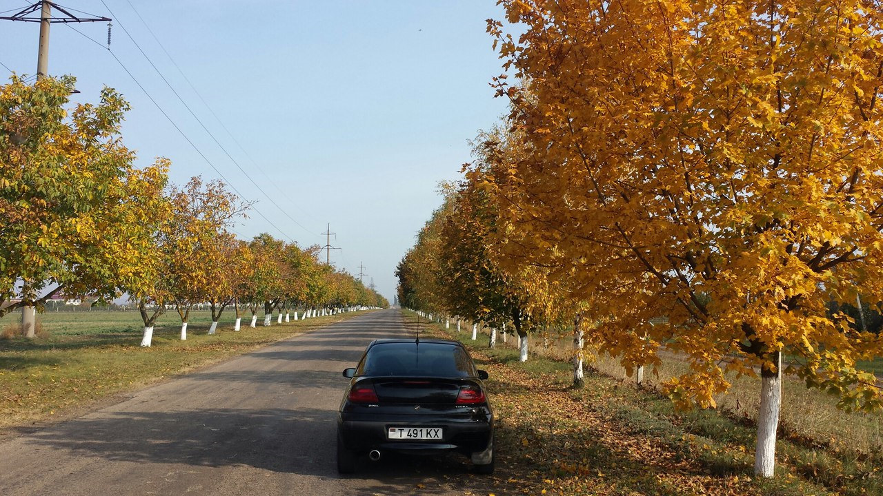 Краснодарский край осенью