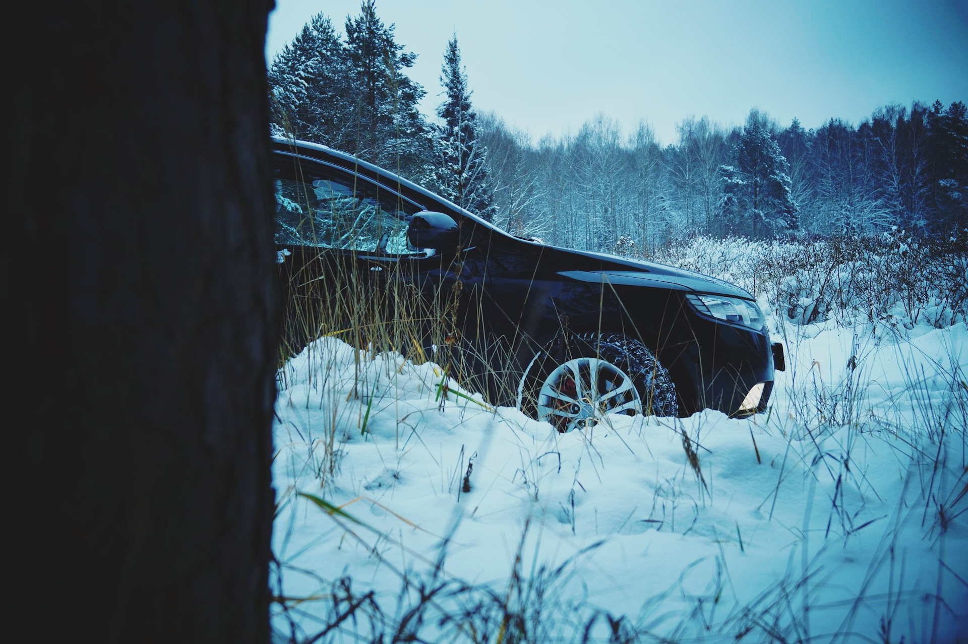 Выпал долгожданный снег. Фото Киа Спортейдж зимой в лесу.