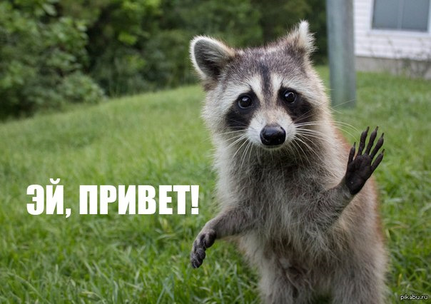 Не открывается термостат. Зима вернулась. — Lada Гранта, 1,6 л, 2013 ...