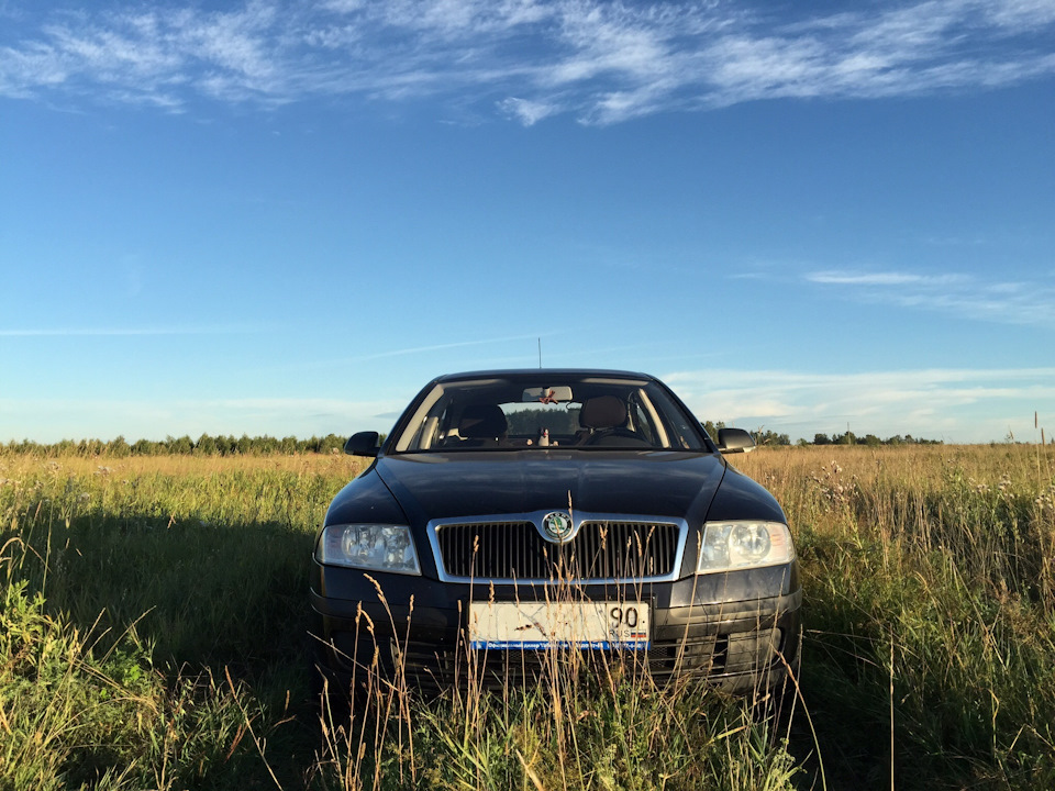 Запись 4. Впечатления и сравнения. А5, Рапид, А7. — Skoda Octavia A7 ...