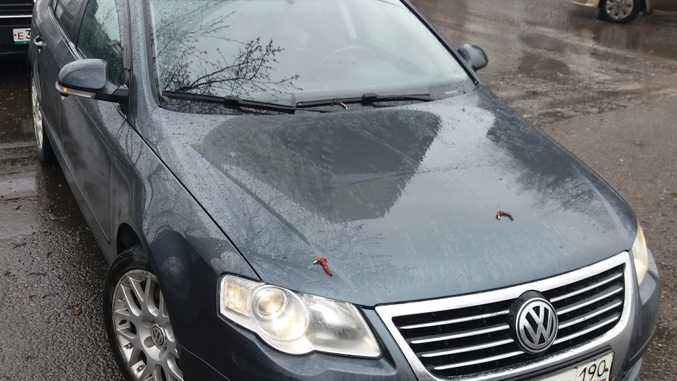 Volkswagen Passat Серая " Пася "...