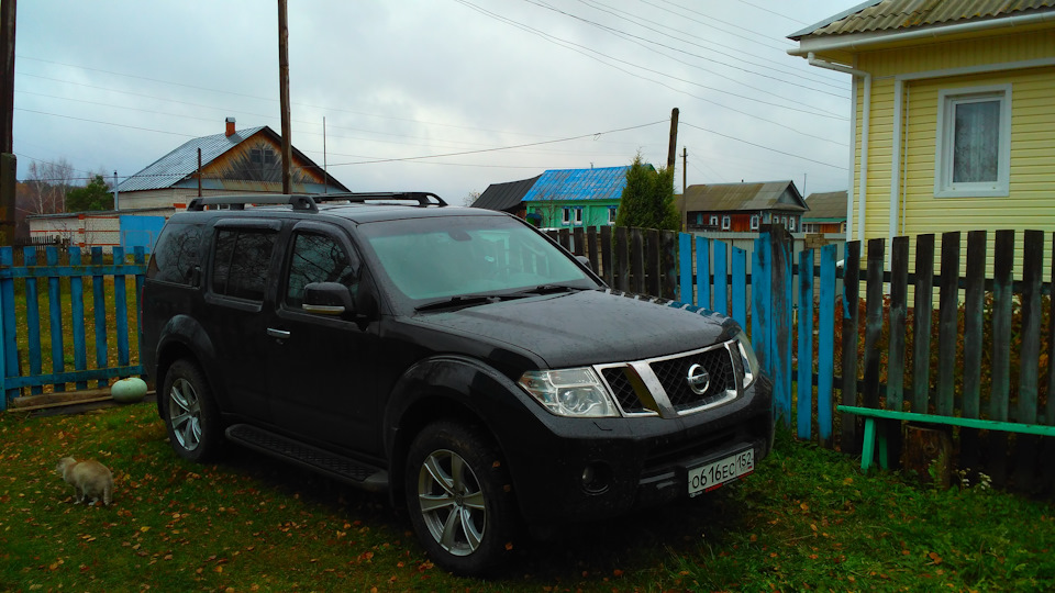 Nissan Pathfinder Черныш