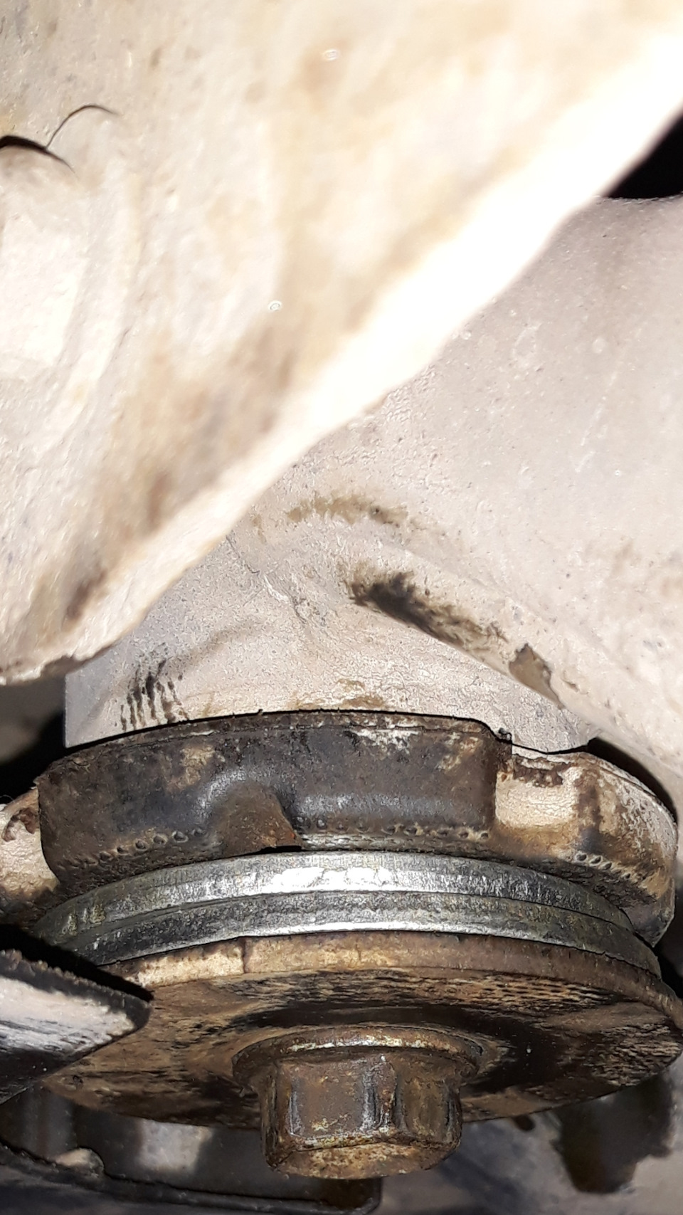 Фото в бортжурнале Nissan X-Trail II (t31)