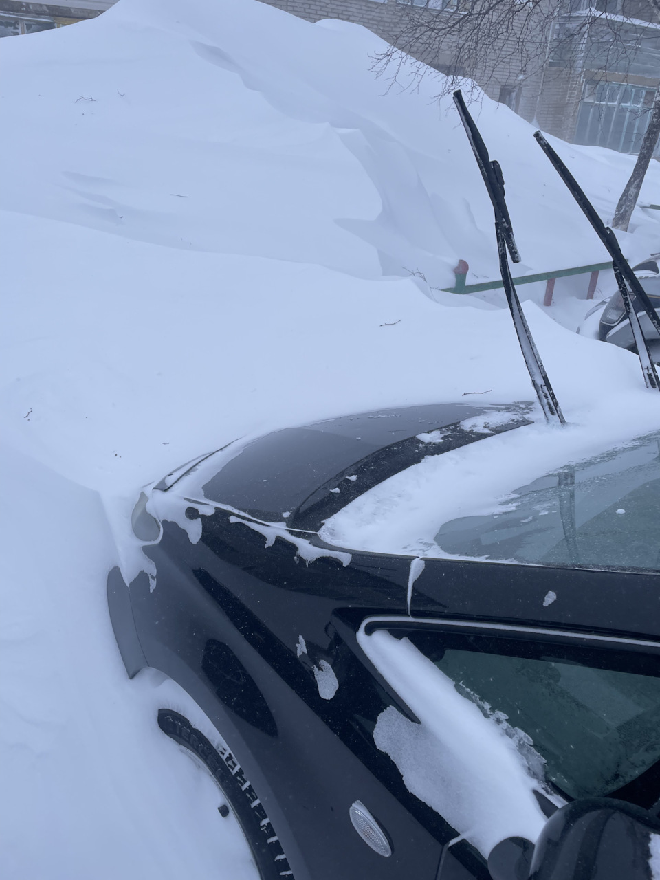 Фото в бортжурнале Toyota Wish (AE20)