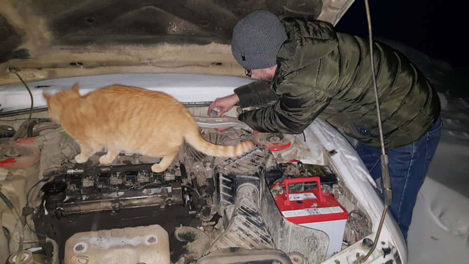 Свечи сухие. Не заводится. Реле форсунок. — Mitsubishi Legnum, 1,8 л ...