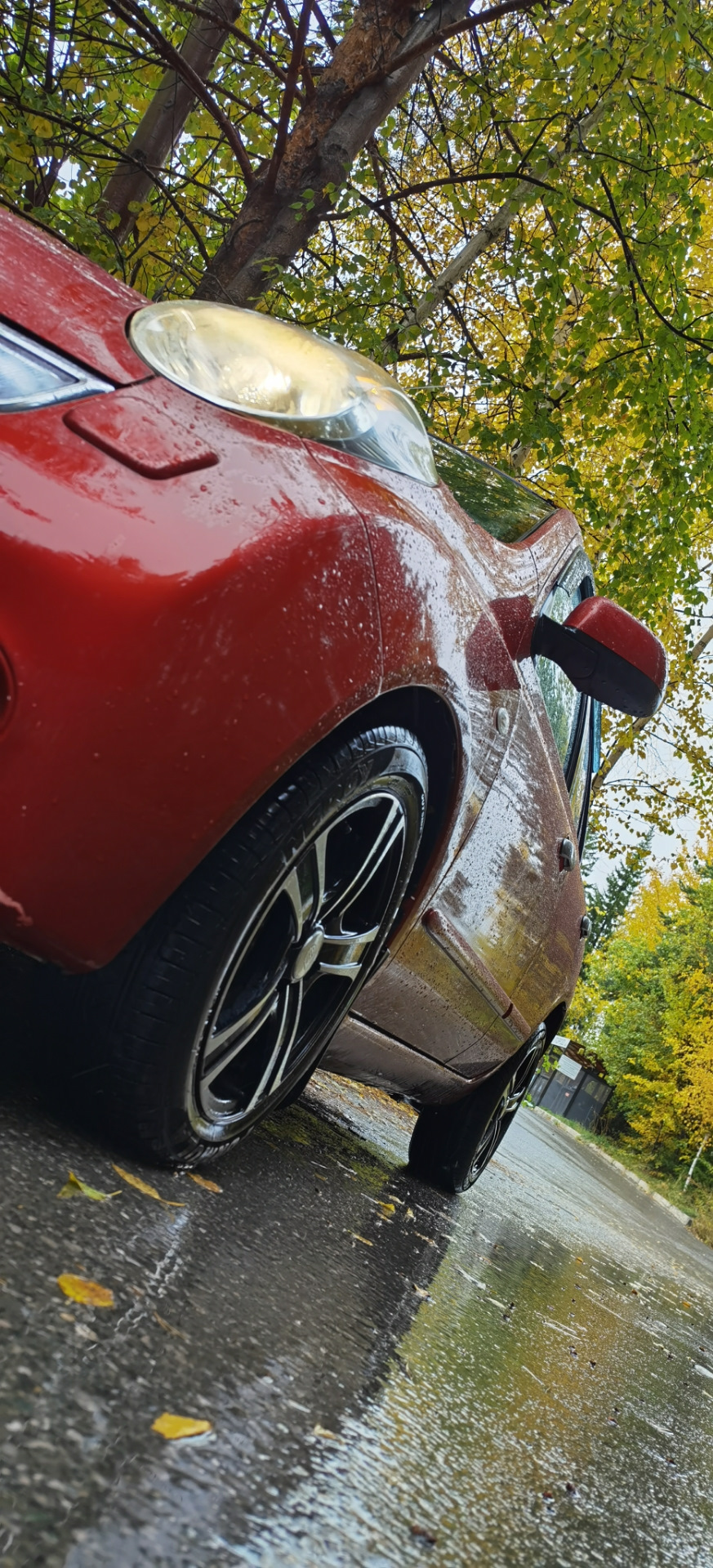 Осень — Nissan Micra (K12C), 1,4 л, 2010 года | фотография | DRIVE2