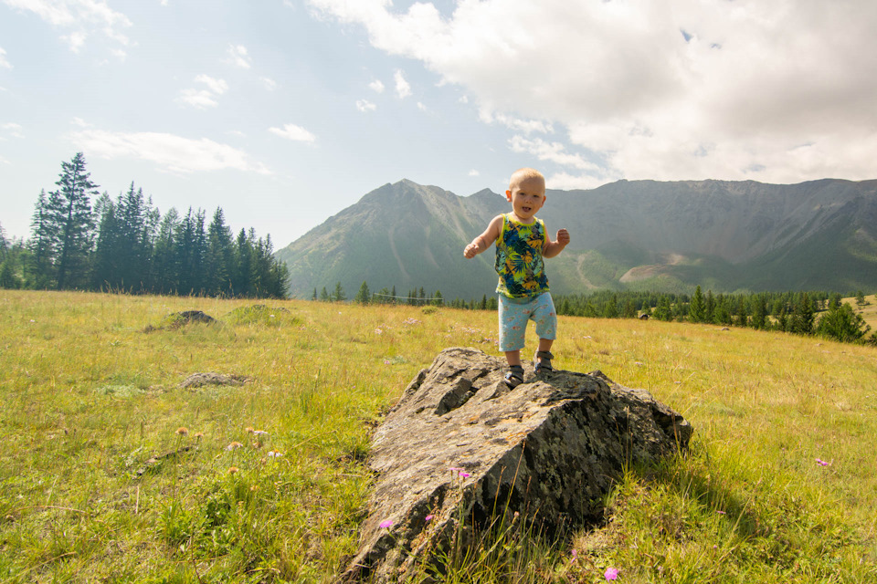 Фото в бортжурнале Suzuki Vitara XL7