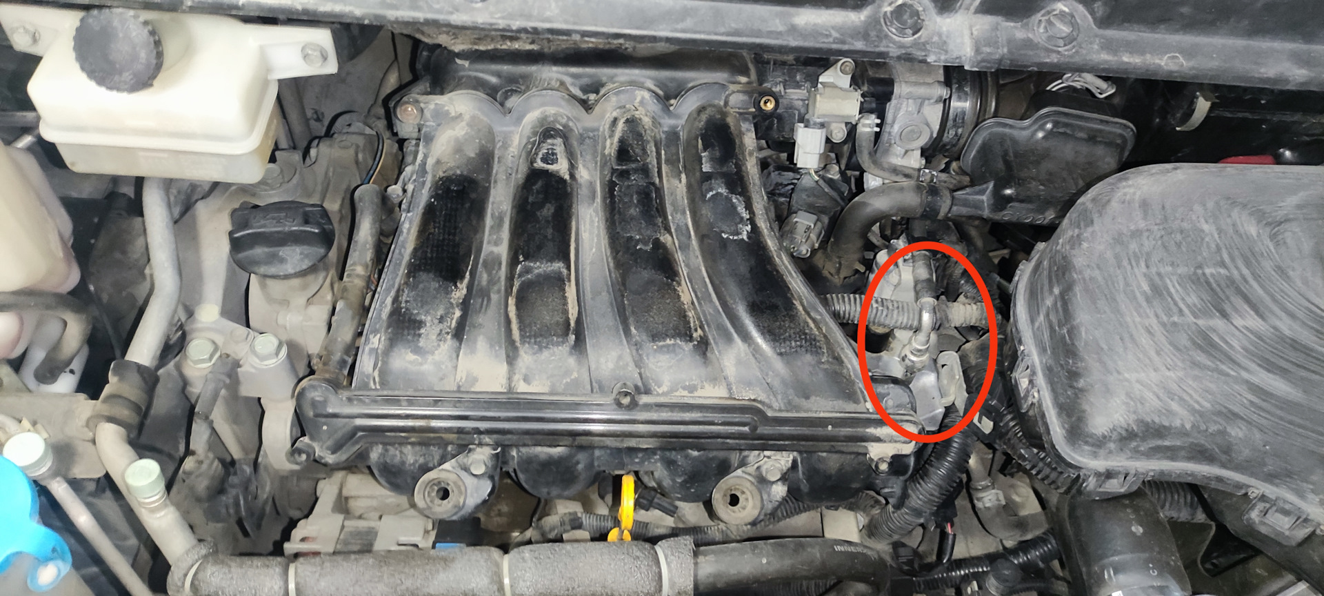 Промывка форсунок без съема лавром ML101 — Nissan Serena Mk III (C25 ...