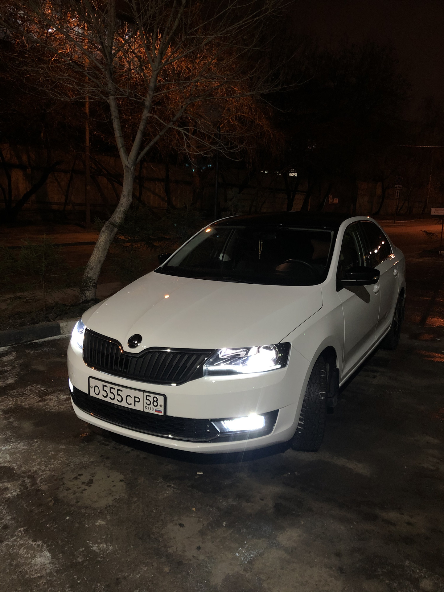 Лампочки шкода рапид. Skoda Rapid Black Edition. Лед лампы на Шкода Рапид 2019. Шкода Рапид Блэк эдишн. Skoda Rapid Black Edition 2019.