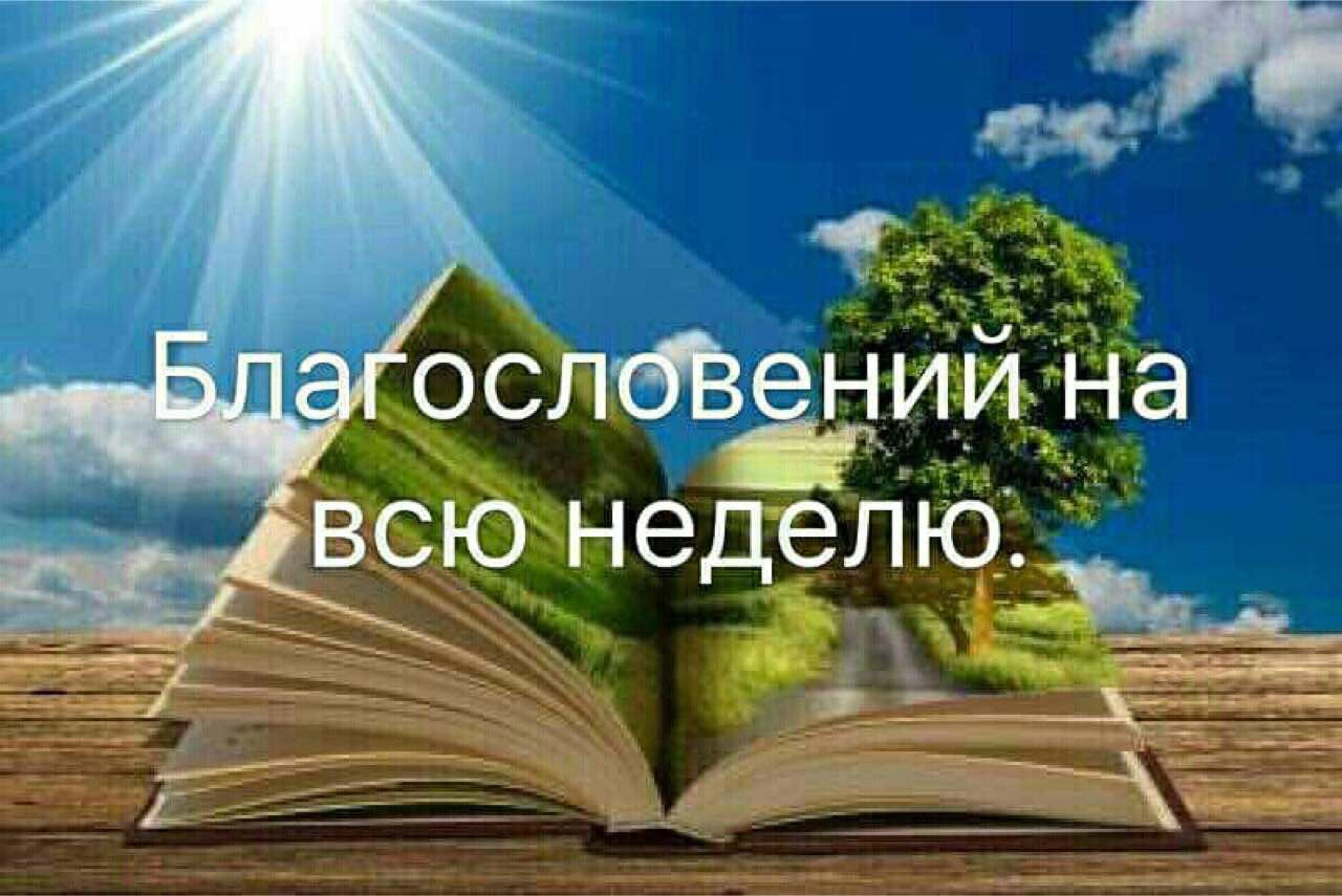 Знания для жизни. Раскрытая книга. Природа знания. Знания из книги.