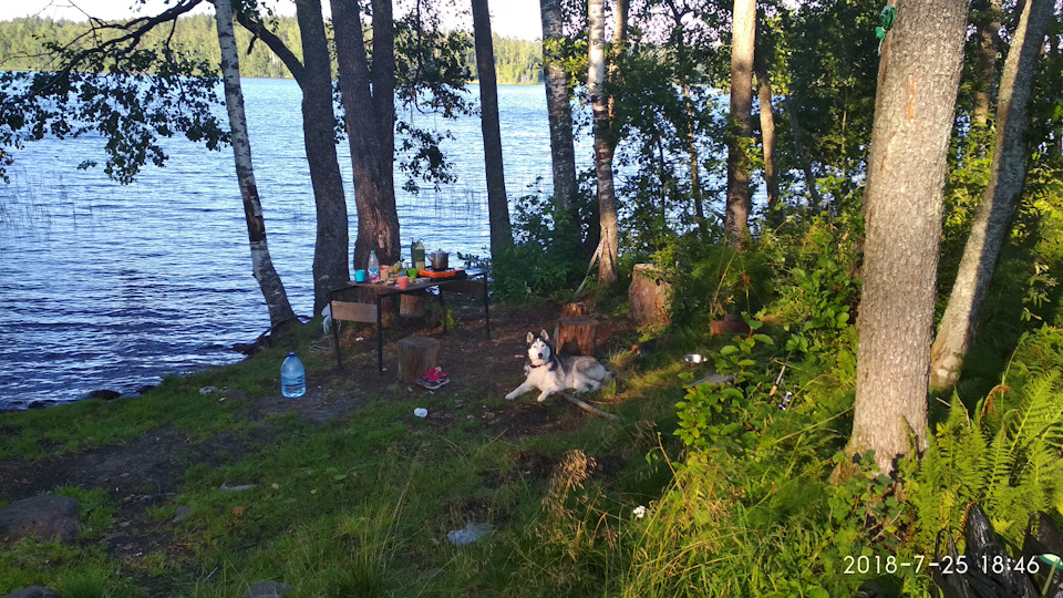 Photo from the logbook Lada Vesta SW Cross (1G)