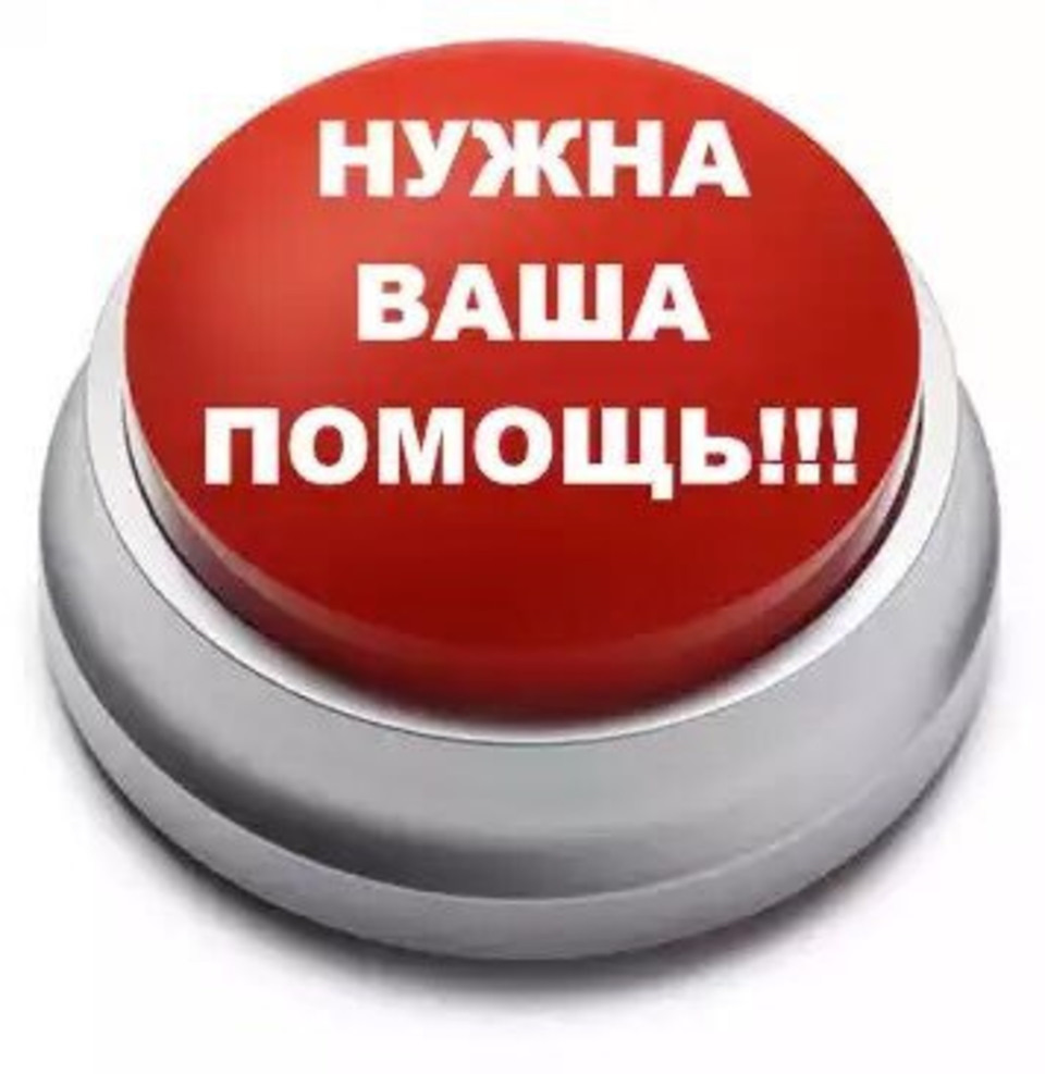 Картинки с надписью помогите пожалуйста