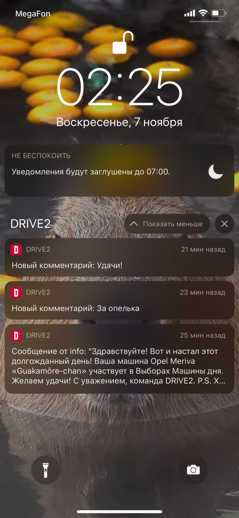 Драйв2 сделал подарок на День рождения. Выборы. — Opel Meriva (B), 1,4 л,  2012 года | рейтинг и продвижение | DRIVE2