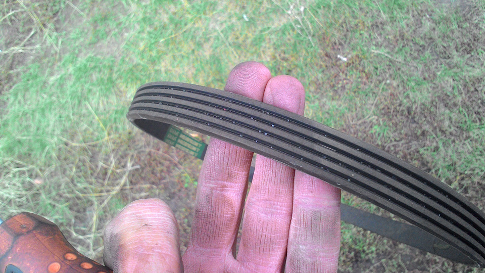 ΠΊΠ°ΠΊΠ°Ρ ΡΠ΅Π·ΡΠ±Π° Π±ΠΎΠ»ΡΠ° ΡΠΊΠΈΠ²Π° ΠΊΠΎΠ»Π΅Π½Π²Π°Π»Π°. Π‘ΠΌΠΎΡΡΠ΅ΡΡ ΡΠΎΡΠΎ ΠΊΠ°ΠΊΠ°Ρ ΡΠ΅Π·ΡΠ±Π° Π±ΠΎΠ»ΡΠ° ΡΠΊΠΈΠ²Π° ΠΊΠΎΠ»Π΅Π½Π²Π°Π»Π°. Π‘ΠΌΠΎΡΡΠ΅ΡΡ ΠΊΠ°ΡΡΠΈΠ½ΠΊΡ ΠΊΠ°ΠΊΠ°Ρ ΡΠ΅Π·ΡΠ±Π° Π±ΠΎΠ»ΡΠ° ΡΠΊΠΈΠ²Π° ΠΊΠΎΠ»Π΅Π½Π²Π°Π»Π°. ΠΠ°ΡΡΠΈΠ½ΠΊΠ° ΠΏΡΠΎ ΠΊΠ°ΠΊΠ°Ρ ΡΠ΅Π·ΡΠ±Π° Π±ΠΎΠ»ΡΠ° ΡΠΊΠΈΠ²Π° ΠΊΠΎΠ»Π΅Π½Π²Π°Π»Π°. Π€ΠΎΡΠΎ ΠΊΠ°ΠΊΠ°Ρ ΡΠ΅Π·ΡΠ±Π° Π±ΠΎΠ»ΡΠ° ΡΠΊΠΈΠ²Π° ΠΊΠΎΠ»Π΅Π½Π²Π°Π»Π° ΠΊΠ°ΠΊΠ°Ρ ΡΠ΅Π·ΡΠ±Π° Π±ΠΎΠ»ΡΠ° ΡΠΊΠΈΠ²Π° ΠΊΠΎΠ»Π΅Π½Π²Π°Π»Π°. Π‘ΠΌΠΎΡΡΠ΅ΡΡ ΡΠΎΡΠΎ ΠΊΠ°ΠΊΠ°Ρ ΡΠ΅Π·ΡΠ±Π° Π±ΠΎΠ»ΡΠ° ΡΠΊΠΈΠ²Π° ΠΊΠΎΠ»Π΅Π½Π²Π°Π»Π°. Π‘ΠΌΠΎΡΡΠ΅ΡΡ ΠΊΠ°ΡΡΠΈΠ½ΠΊΡ ΠΊΠ°ΠΊΠ°Ρ ΡΠ΅Π·ΡΠ±Π° Π±ΠΎΠ»ΡΠ° ΡΠΊΠΈΠ²Π° ΠΊΠΎΠ»Π΅Π½Π²Π°Π»Π°. ΠΠ°ΡΡΠΈΠ½ΠΊΠ° ΠΏΡΠΎ ΠΊΠ°ΠΊΠ°Ρ ΡΠ΅Π·ΡΠ±Π° Π±ΠΎΠ»ΡΠ° ΡΠΊΠΈΠ²Π° ΠΊΠΎΠ»Π΅Π½Π²Π°Π»Π°. Π€ΠΎΡΠΎ ΠΊΠ°ΠΊΠ°Ρ ΡΠ΅Π·ΡΠ±Π° Π±ΠΎΠ»ΡΠ° ΡΠΊΠΈΠ²Π° ΠΊΠΎΠ»Π΅Π½Π²Π°Π»Π°