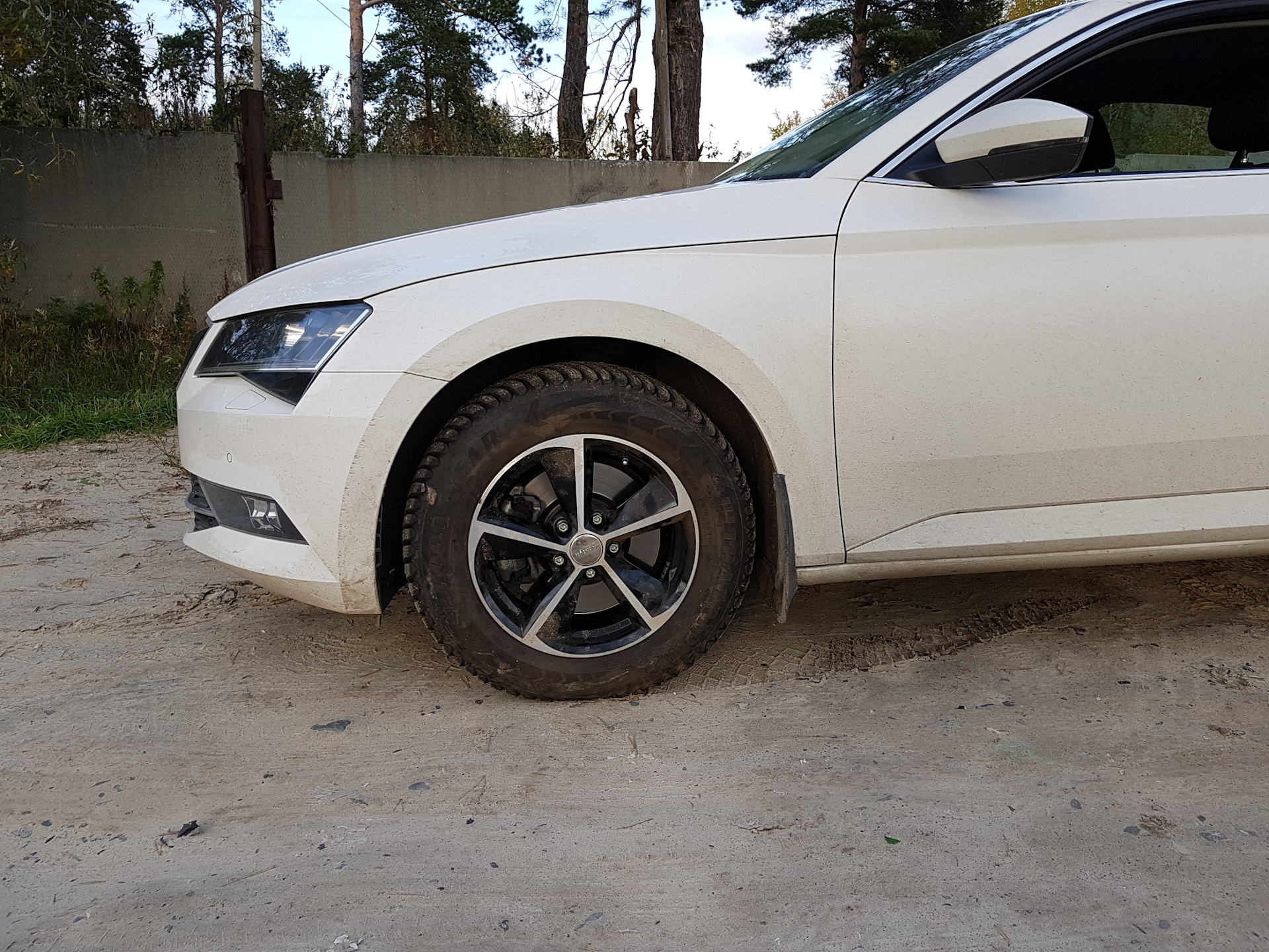 Резина 65 16. 215/65 R16 Skoda. Октавия а 7 на колесах 205\65 р 17. Колеса 215 65 р16 Шкода Октавия. 215/60 R16 на шкоду Октавия а8.