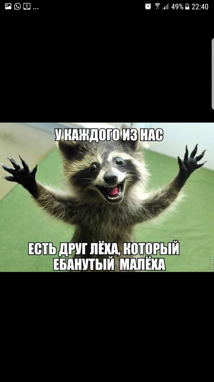 Жить Надо Так Чтобы Депрессия Была У Других Картинка