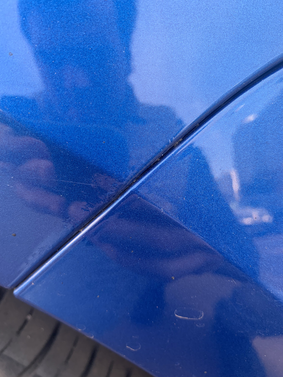 Фото лето 2021. Левое немного болит — Skoda Octavia Combi A7 Mk3