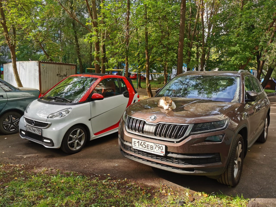 Фото в бортжурнале Skoda Kodiaq