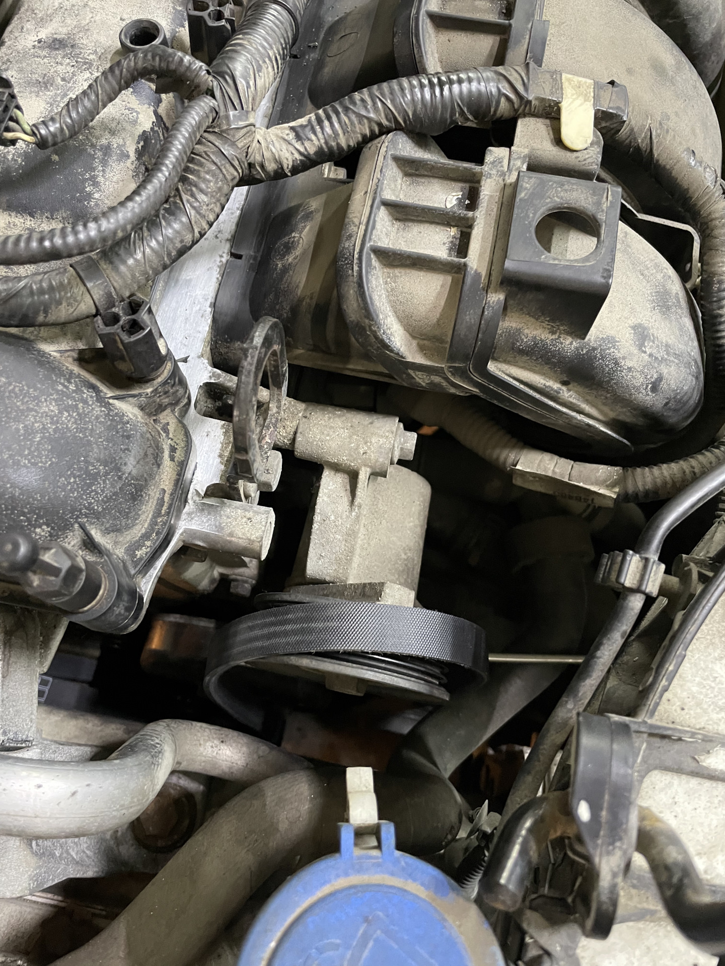 Замена прокладок клапанной крышки. — Ford Focus Hatchback III, 2 л ...