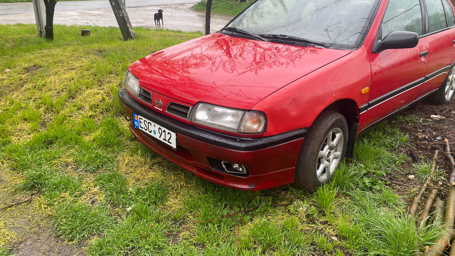 Купить б/у Nissan Primera II (P11) 1.6 MT (90 л.с.) бензин механика в Санкт-Пете