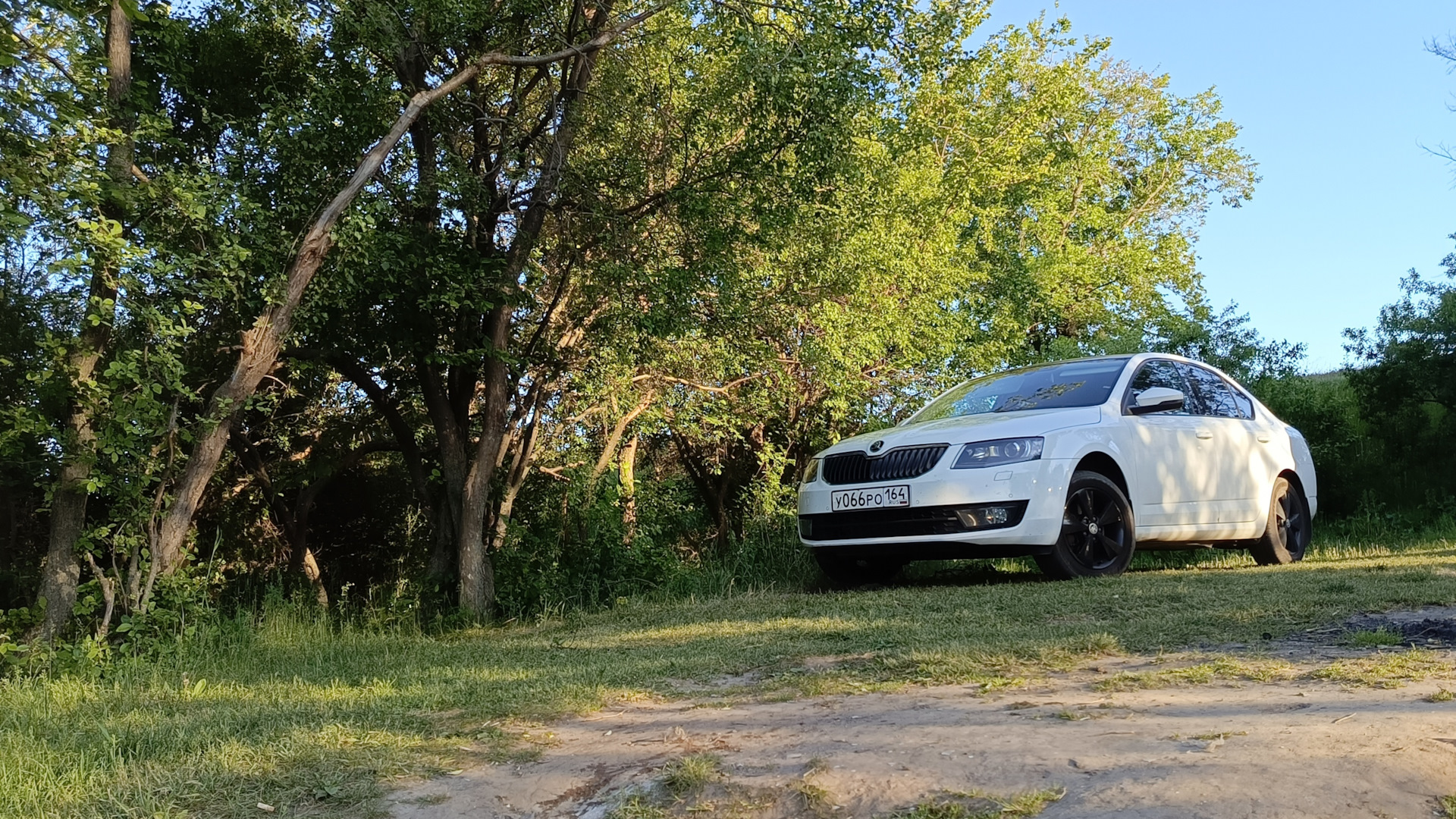 Skoda Octavia A7 Mk3 2.0 дизельный 2016 | Русская река на DRIVE2