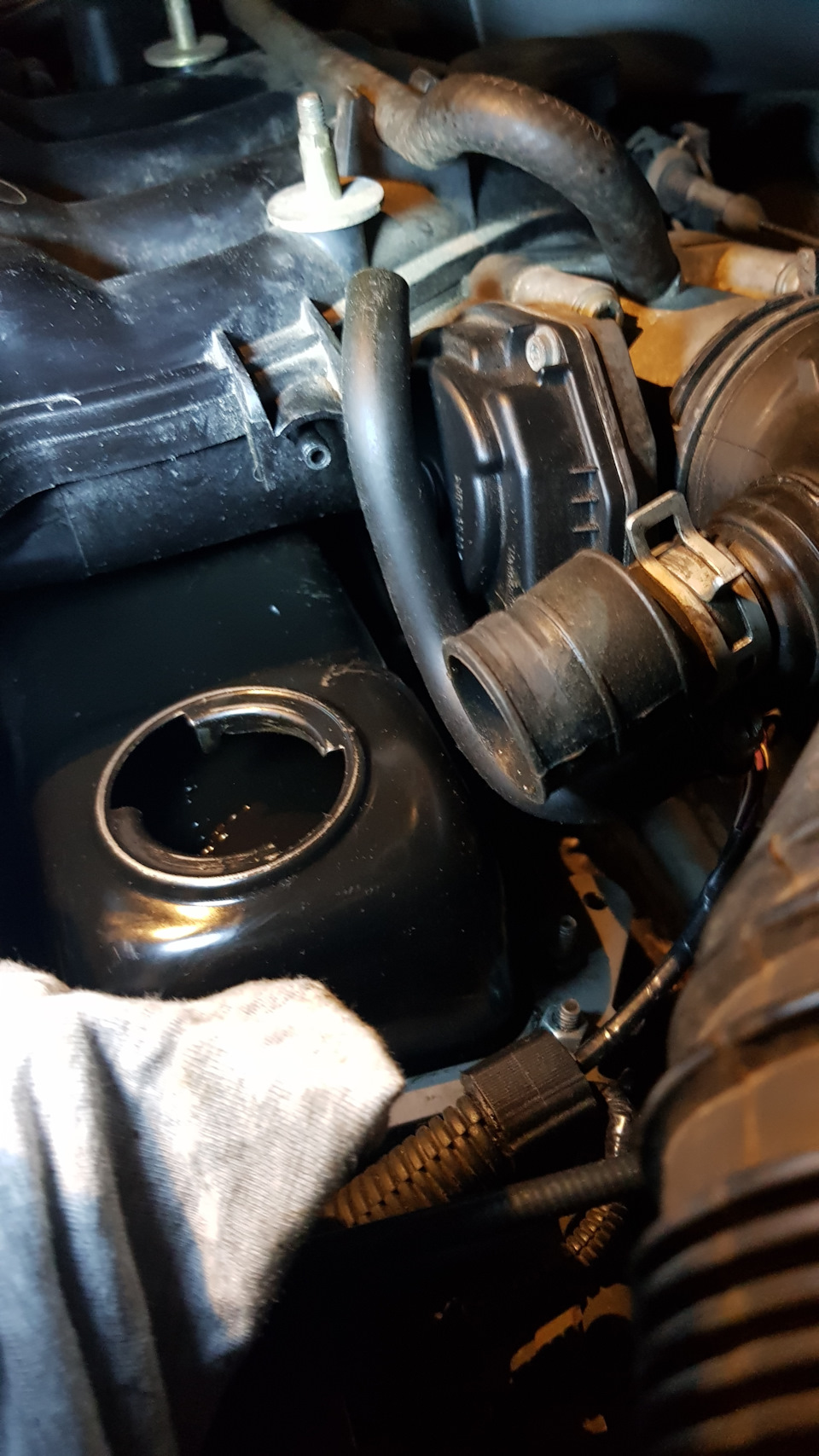 Фото в бортжурнале Audi A3 (8L)