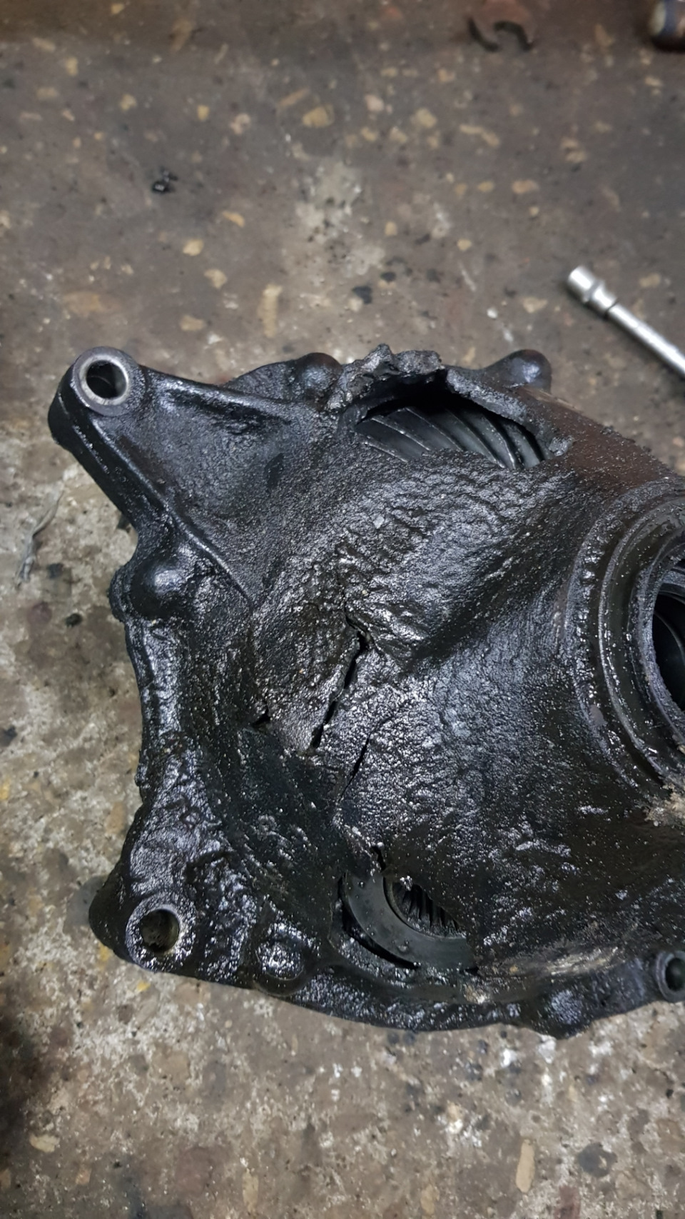 Фото в бортжурнале BMW X5 (E53)