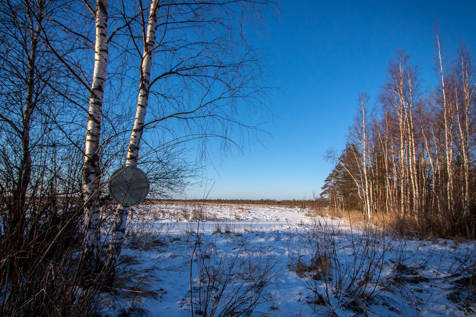 Конец всех ограничений. Если за спиной есть еще хоть какой-то лес, то впереди открывается болотная гладь до самого горизонта. — Toyota Land Cruiser Prado 90-series
