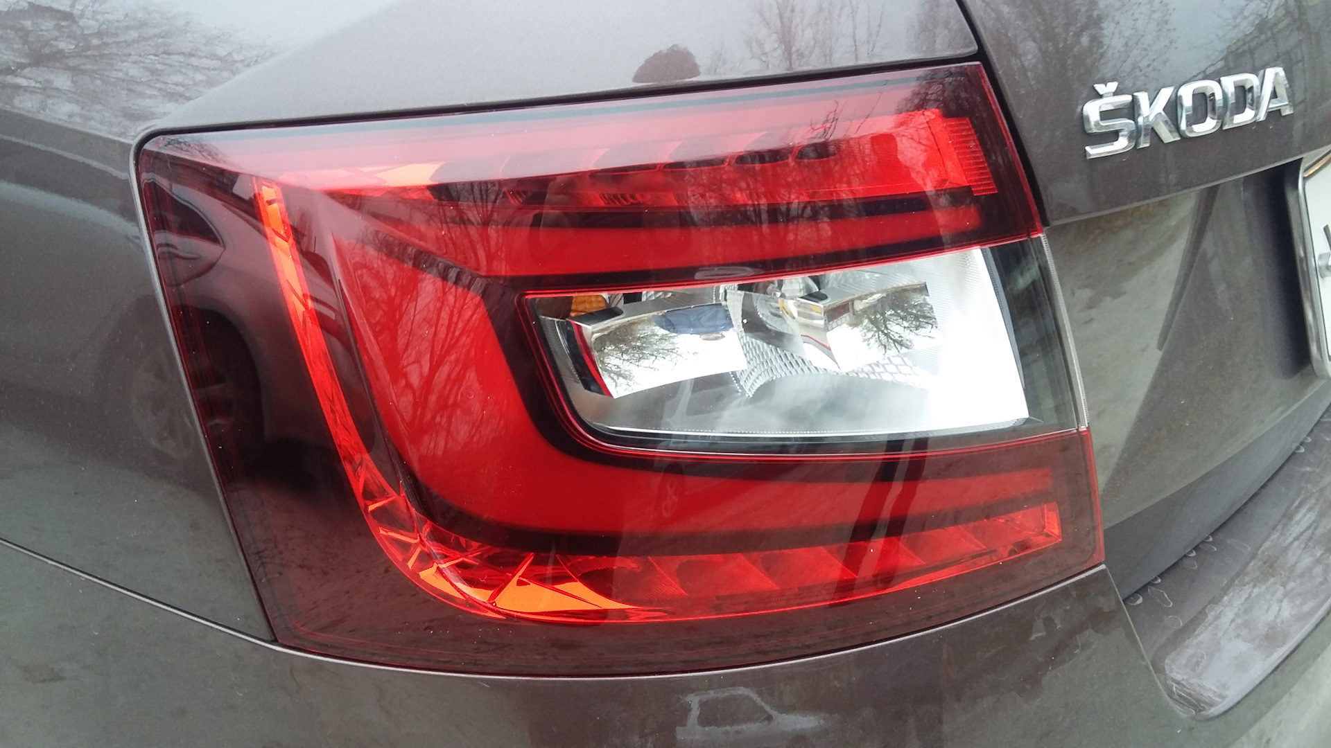 Фонарь задний skoda octavia a7. Фонари Skoda Octavia a7 FL. Octavia a7 FL фонари. Фонари Skoda Octavia a7 High. Led фонари Skoda Octavia a7.