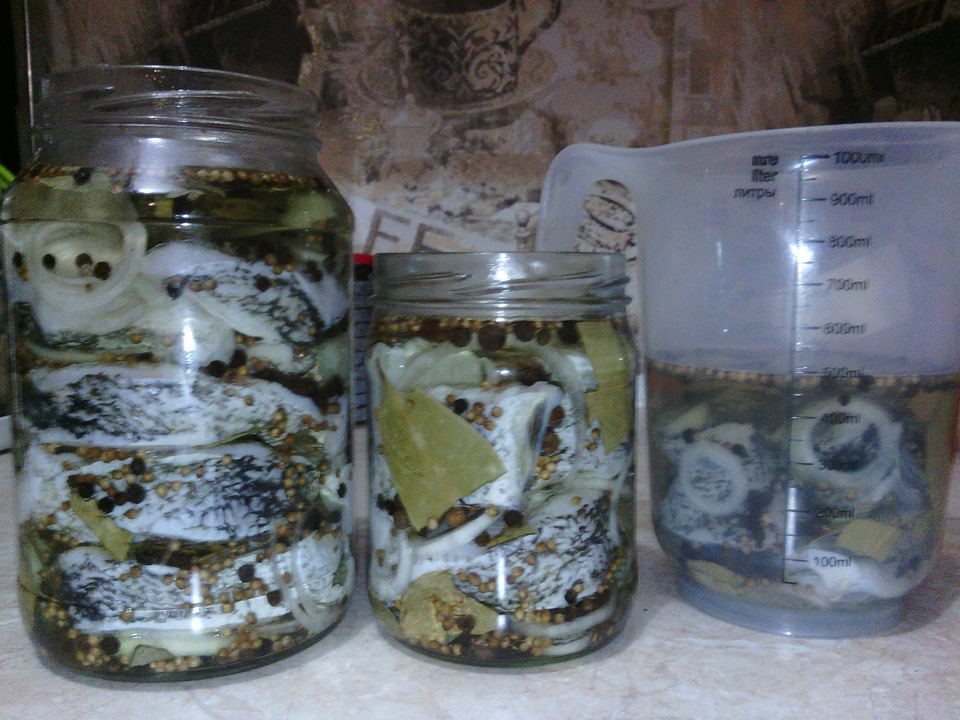 как засолить речную рыбу в домашних условиях как селедку. Смотреть фото как засолить речную рыбу в домашних условиях как селедку. Смотреть картинку как засолить речную рыбу в домашних условиях как селедку. Картинка про как засолить речную рыбу в домашних условиях как селедку. Фото как засолить речную рыбу в домашних условиях как селедку как засолить речную рыбу в домашних условиях как селедку. Смотреть фото как засолить речную рыбу в домашних условиях как селедку. Смотреть картинку как засолить речную рыбу в домашних условиях как селедку. Картинка про как засолить речную рыбу в домашних условиях как селедку. Фото как засолить речную рыбу в домашних условиях как селедку