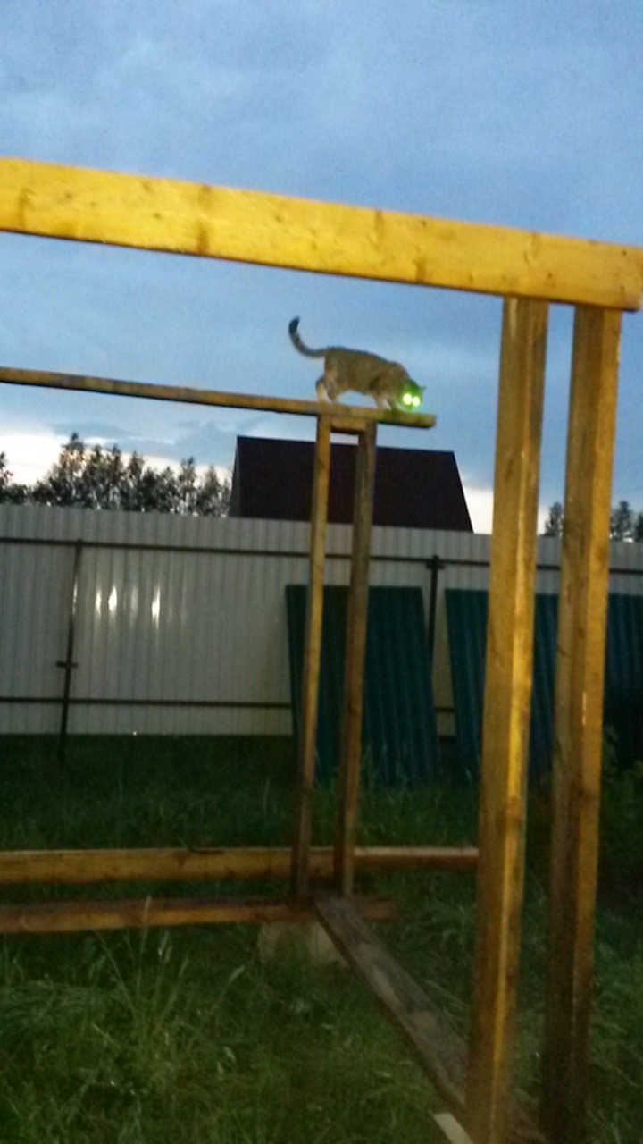 Габариты или ДХО… или "это вам не китайский ксенон…" — Skoda Octavia A4 ...