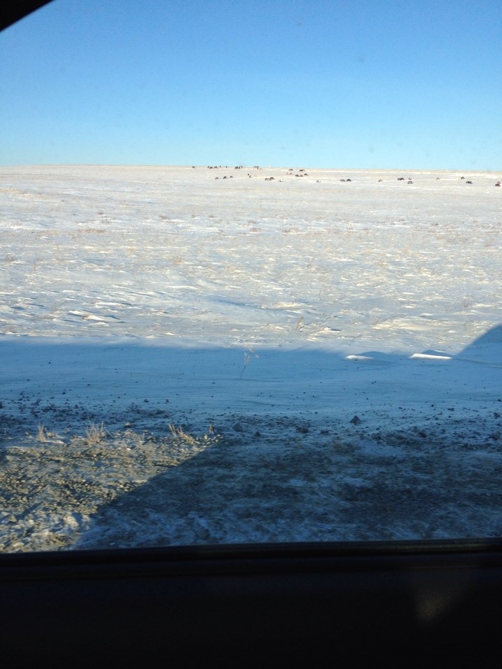 Прошивка ММС — Lada Гранта лифтбек, 1,6 л, 2014 года | электроника | DRIVE2