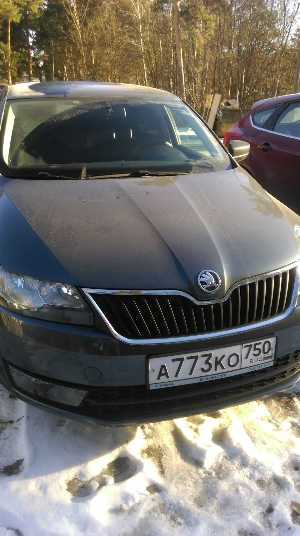 Замерзли динамики! — Skoda Rapid (1G), 1,6 л, 2016 года | автозвук | DRIVE2