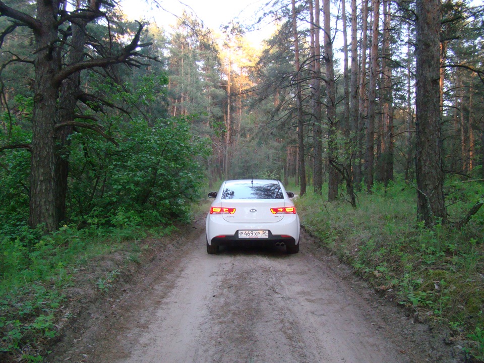 Развал-схождение. — KIA Cerato Koup (1G), 2 л, 2011 года | визит на ...