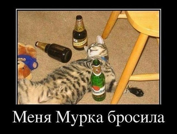 Открытки поздравлением, смешные картинки мы расстались