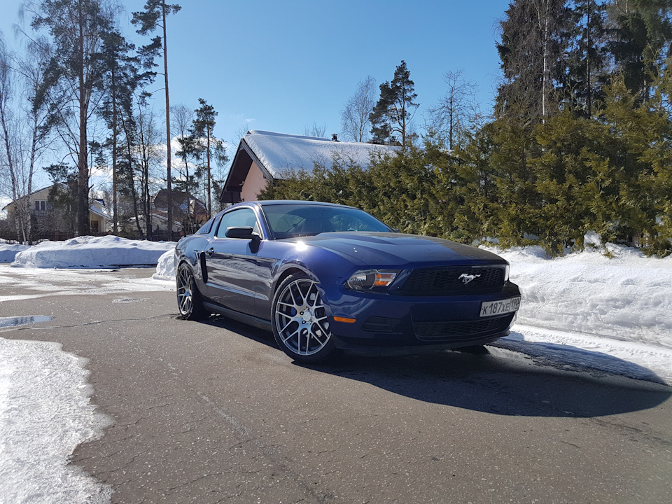 Ford Mustang 2013 лес зимний