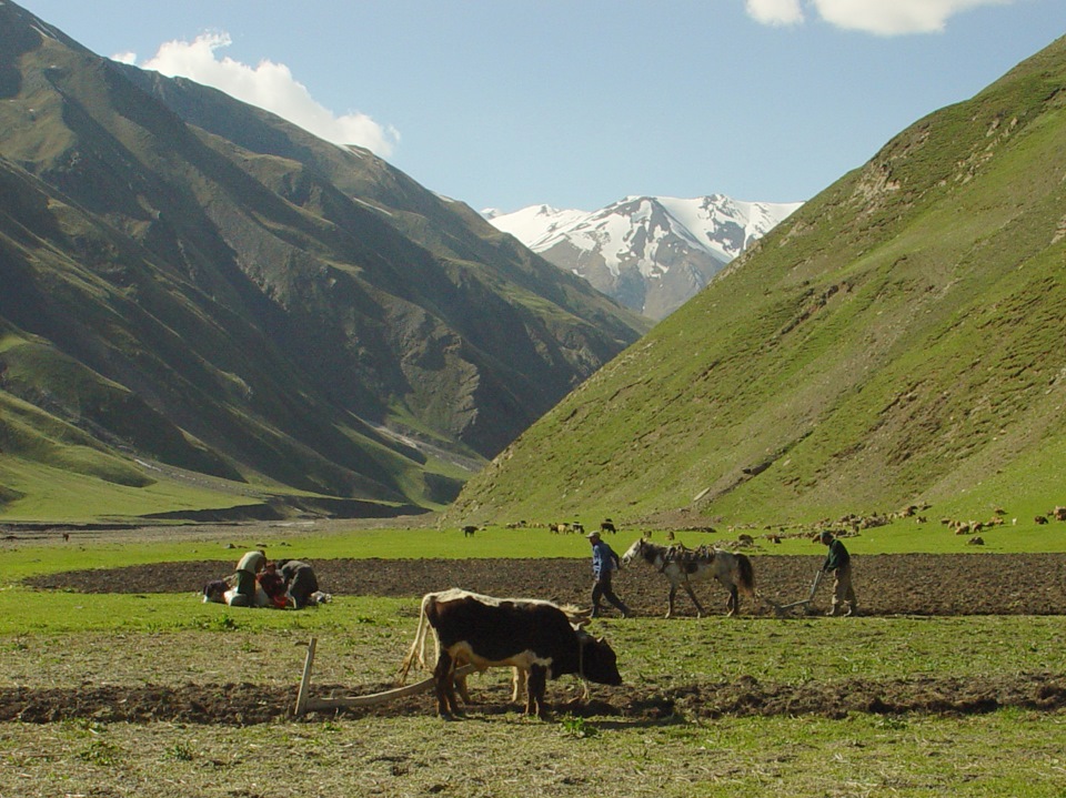 Ритляб чародинский. Ритляб дагестан село. Пагода в ритляб. Село чуниб. Ритляб чародинский водопад.