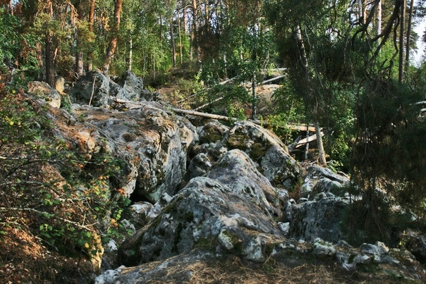 Глэмпинг Смолькино Самарская область