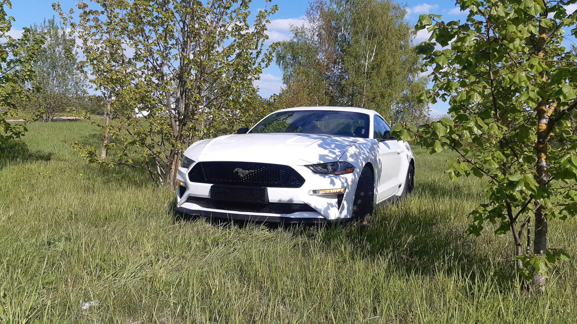 Ford Mustang (6G) 2.3 бензиновый 2019 | White Pony на DRIVE2