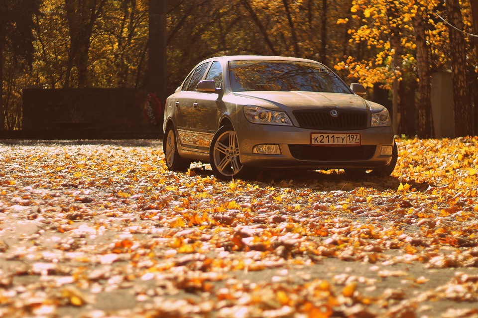 Осень осень подожди. Шкода в осени. Volkswagen кабриолет осень осень. Осень осень ну давай у листьев спросим. Осень осень ну давай.