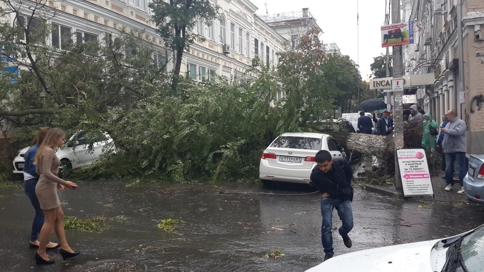 Это ростов детка картинки