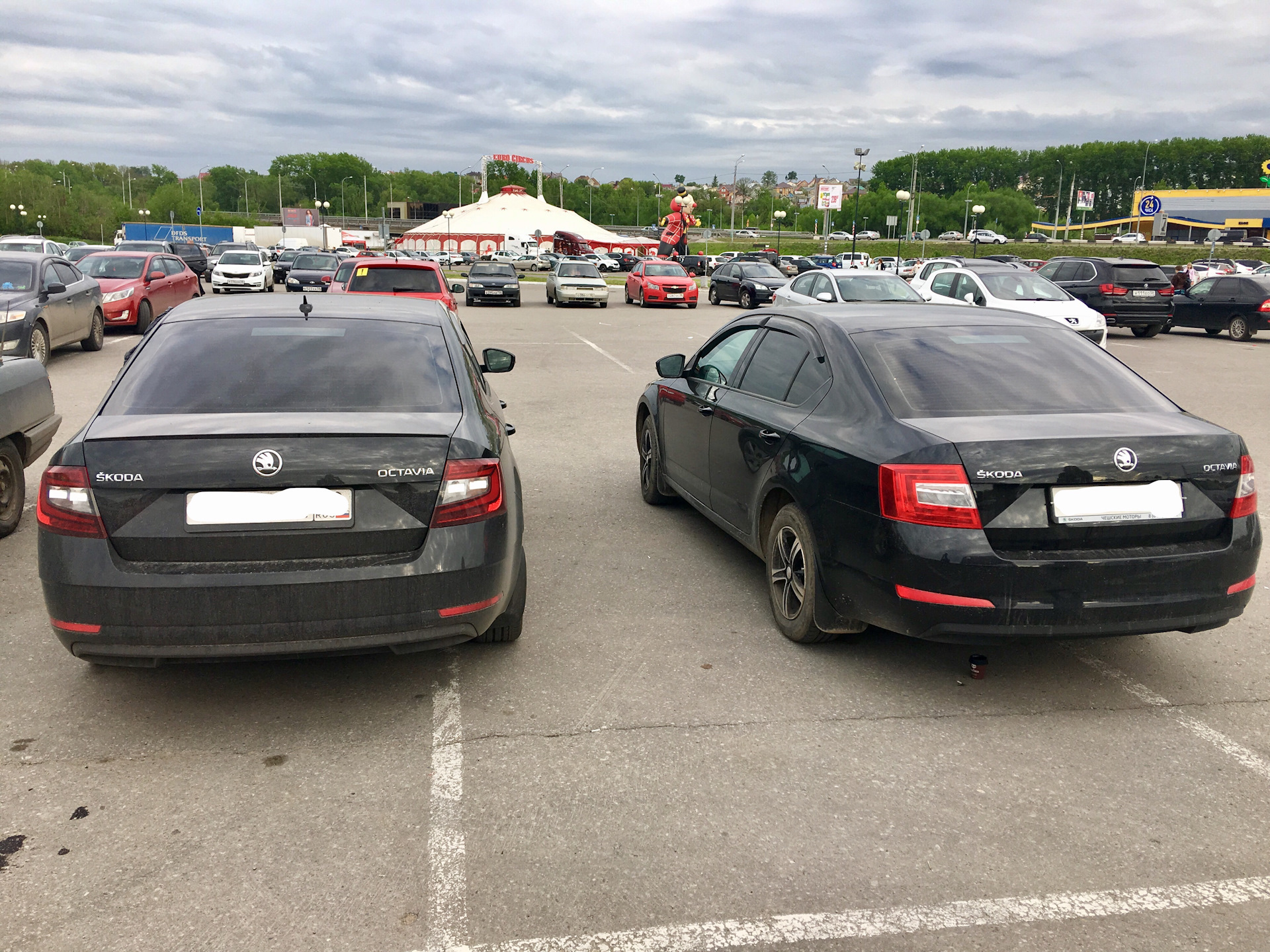 Skoda Octavia a7 черная