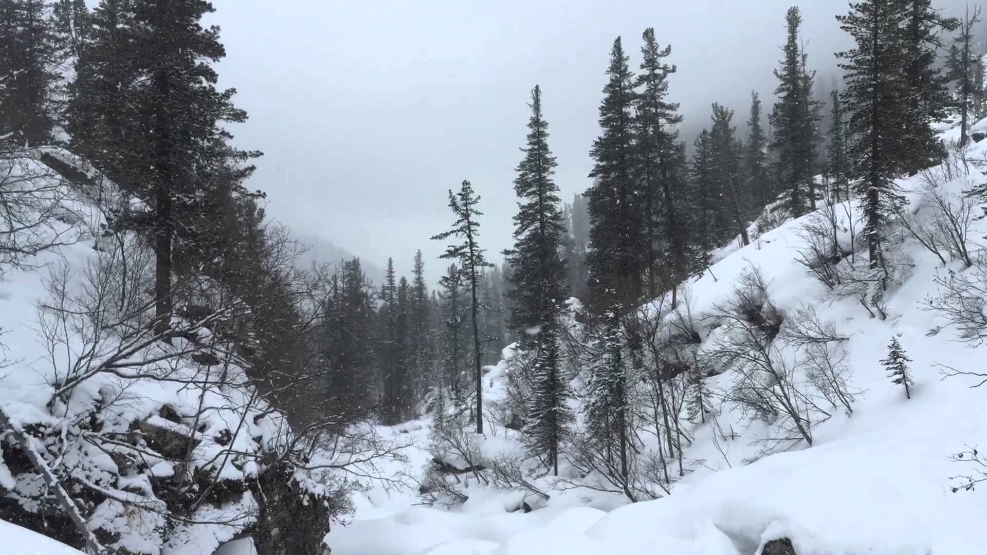 Mountain 2015. Ергаки снегоходы. Ергаки база отдыха фото зимой. Ергаки тропа перевал тушканчик. Ергаки деревья срезанные снегом.