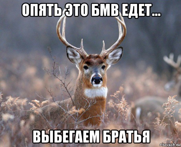 ЛИБО РУЛИШЬ ТЫ РУЛЯТ ТОБОЙ ПЕСНЯ СКАЧАТЬ БЕСПЛАТНО ЛИБО РУЛИШЬ ТЫ РУЛЯТ ТОБОЙ ПЕСНЯ СКАЧАТЬ БЕСПЛАТНО